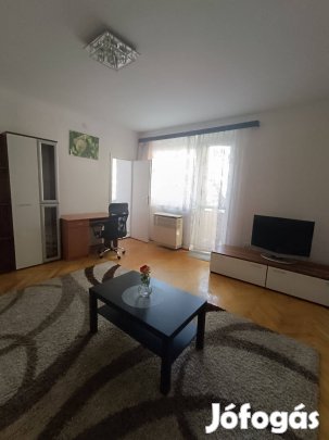 Debrecen Egyetem sugárúti lakás kiadó