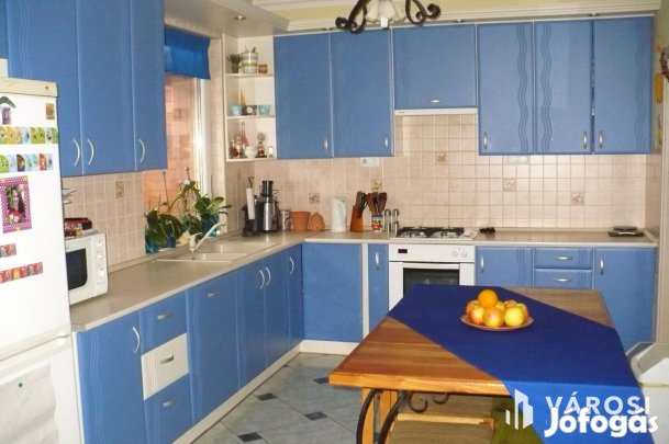 Debrecen-Józsán 3 szoba nappalis Amerikai típusú ház eladó!