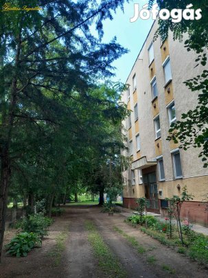 Debrecen,Komlossy utcán garázs kiadó