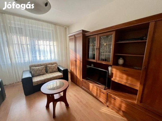 Debrecen-Vénkert, Egyetemhez közel, 47 nm, 2 szoba, parkra néző lakás