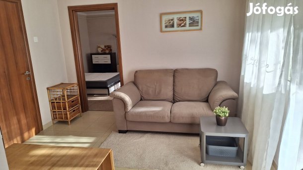 Debrecen Wesselényi ltp.50m2 lakás iroda rendelő kertkapcsolatos