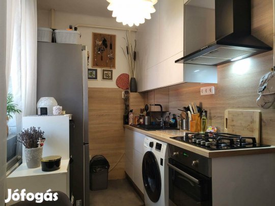 Debrecen, 2+1 szobás tégla lakás eladó földszinten,új gáz kazánnal