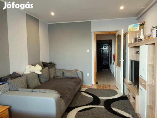 Debrecen, Egyetem közel, felújított 3 nagy szobás lakás eladó