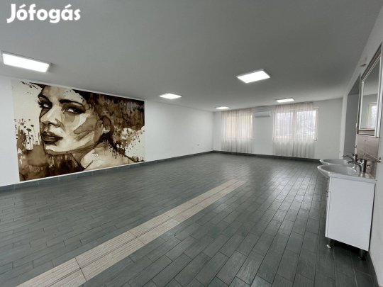 Debrecen, Mikepércsi út frekventált helyen eladó családi ház üzlethe