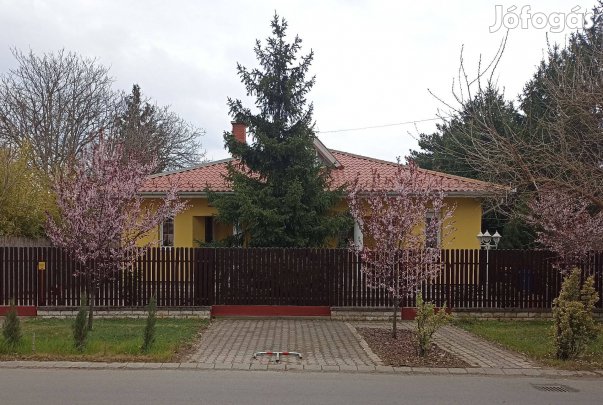 Debrecen, Vág utcai,128 nm-es ház