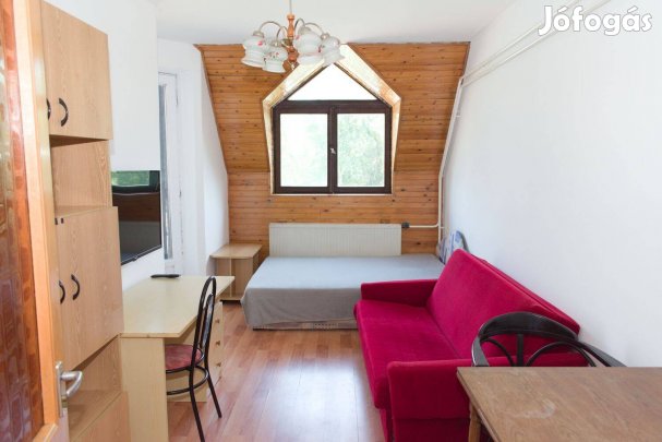 Debrecen belvárosi, Batthyány utcai kétszobás lakás kiadó