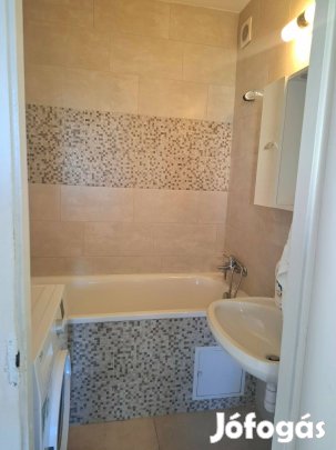 Debrecen egyetemekhez közeli, felújított 2 szobás lakás eladó