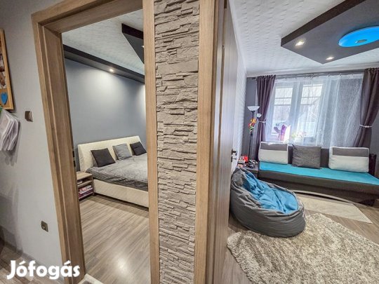 Debrecen és Apafa között az erdő szomszédságában összkomfortos