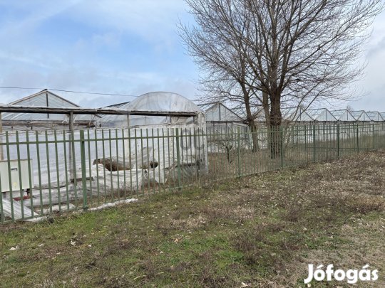 Debrecenben a Sámsoni út mellett 12381 m2 mezőgazdasági terület eladó!