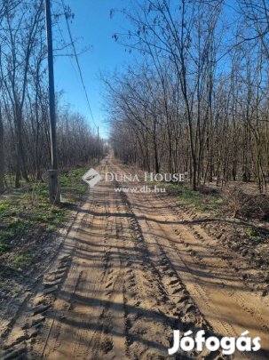 Debreceni 133005 nm-es telek eladó