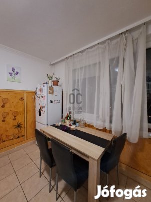 Debreceni 2 szobás 9. emeleti lakás a Tócóskertben  otthon vagy befek