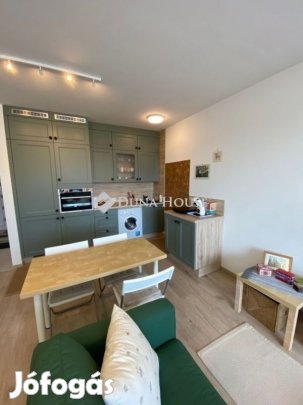 Debreceni 38 nm-es lakás eladó