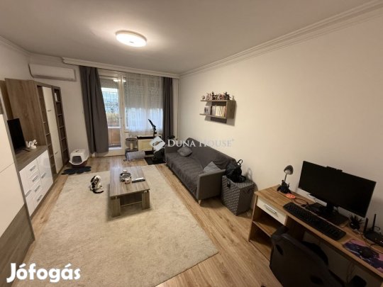 Debreceni 55 nm-es lakás eladó