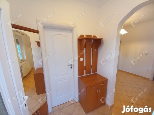 Debreceni, Józsa városrészen eladó egy kiváló állapotú családáház