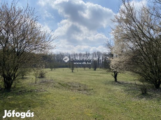 Debreceni eladó 235000 nm-es telek