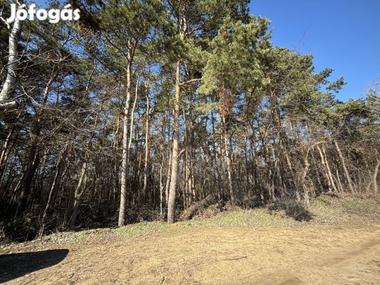 Debreceni eladó telek