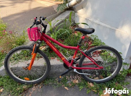 Decathlon Btwin / Rockrider 24 gyerek