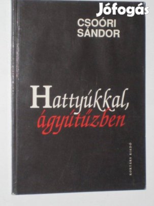 Dedikált Csoóri Hattyúkkal, ágyútűzben