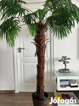 Dekor pálma fa