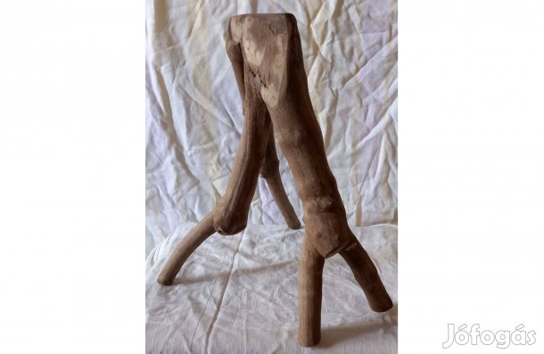 Dekorációs dísztárgy teráriumba madarak hüllök részére