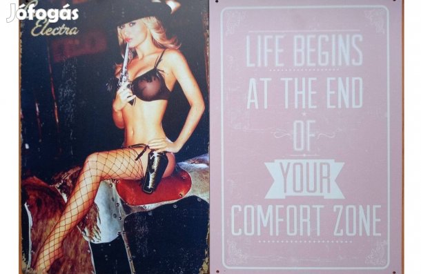 Dekorációs fém tábla (Carmen Electra - Az Élet A Kényelmi Zóna.)