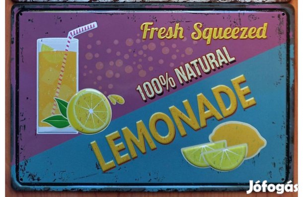 Dekorációs fém tábla (Frissen Facsart Limonádé )