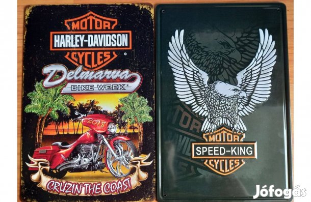 Dekorációs fém tábla (Harley-Davidson - Harley-Davidson)