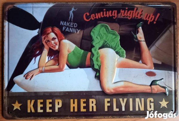 Dekorációs fém tábla (II, Világháború- Flying PIN-UP Girls)