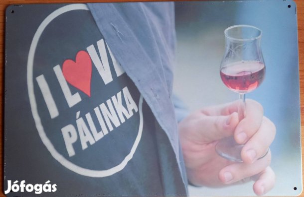 Dekorációs fém tábla (I LOVE Pálinka)