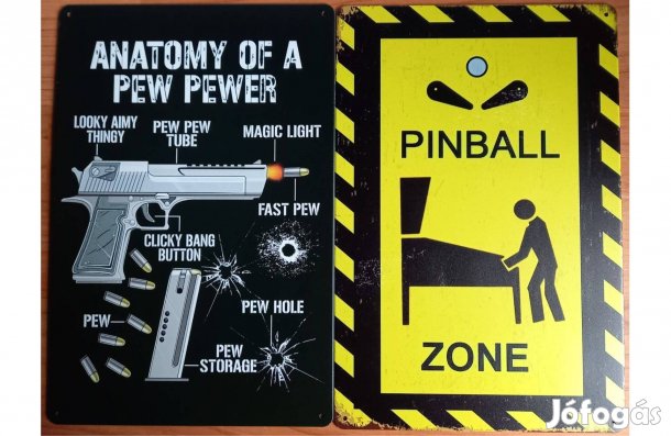 Dekorációs fém tábla (Lövés Anatómia - Flipper Zóna)