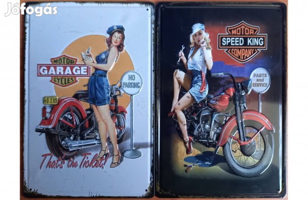 Dekorációs fém tábla (Motorkerékpár Speed King - Motorkerékpár Garage)