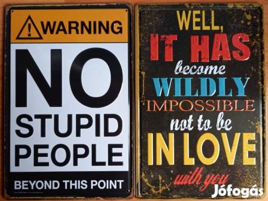 Dekorációs fém tábla (Nincsenek Hülye Emberek Ezen A Ponton Túl