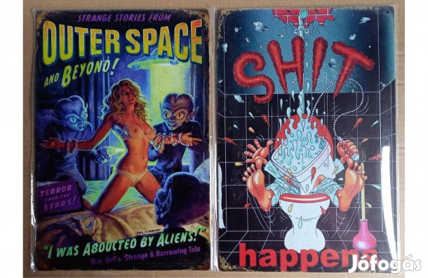 Dekorációs fém tábla (Örült Tudomyány - Toilet Humor)