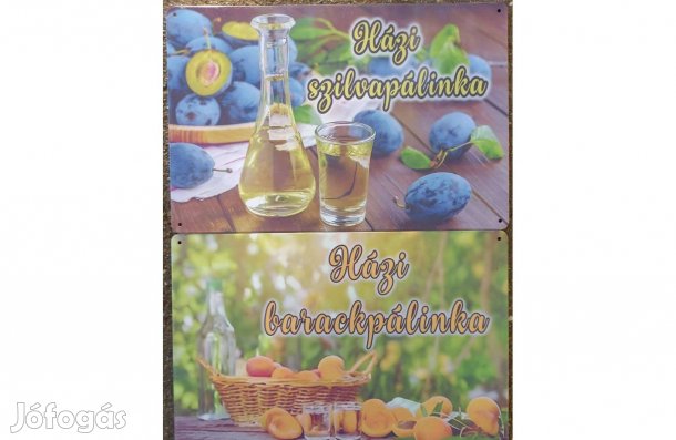 Dekorációs fém tábla ( Házi pálinka )