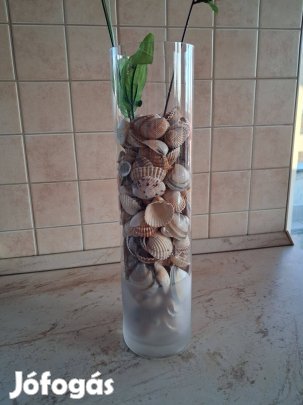 Dekorációs kagylók üveg vázában