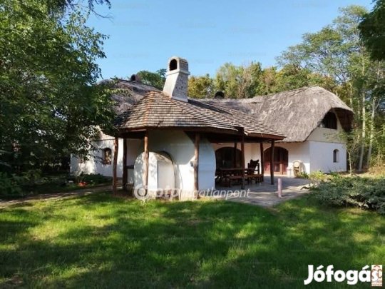 Délegyházai 155 nm-es ház eladó