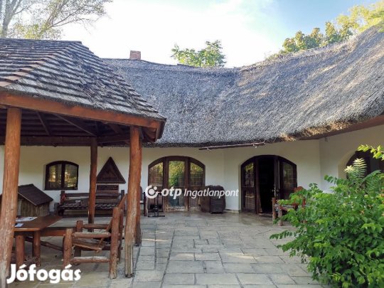 Délegyházai 190 nm-es ház eladó