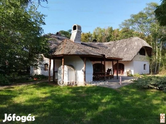 Délegyházai eladó 155 nm-es ház