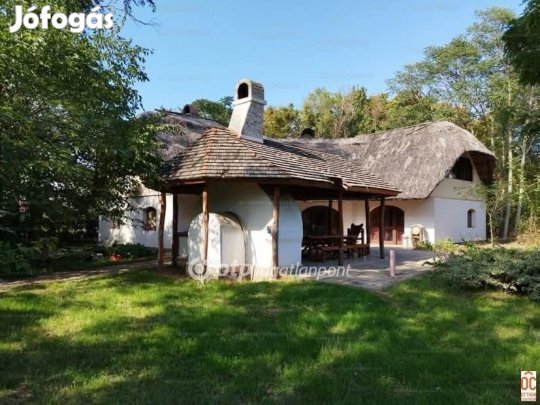 Délegyházai eladó 155 nm-es ház
