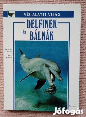 Delfinek és bálnák