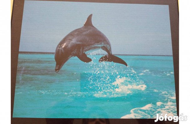 Delfines falikép