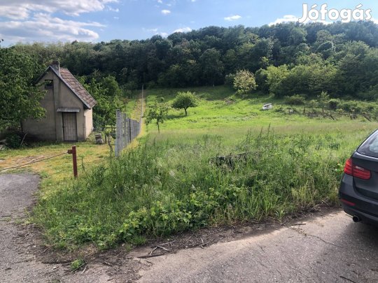 Demjéni 2 szomszédos zártkert (3600m2) eladó