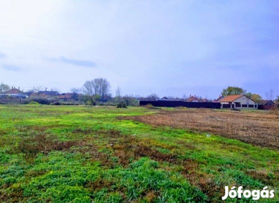 Derecskén 3500 nm-es, beépítetlen, lakóövezeti telek Eladó!