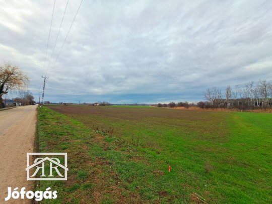 Deszk, Szőregi soron, 7.180 m2-es telek eladó