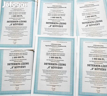Determin Lizing kötvény 1996