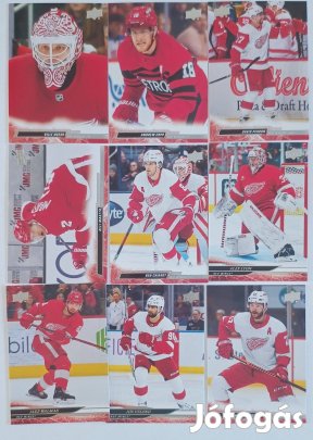 Detroit Red Wings NHL kártyák Bertuzzy Larkin Rasmussen