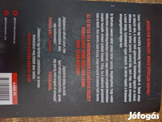 Diana Hunt Őrületbe kergetsz regény