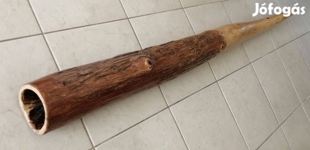 Didgeridoo (mocsári ciprus E-F)