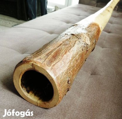 Didgeridoo (tuja, C#)