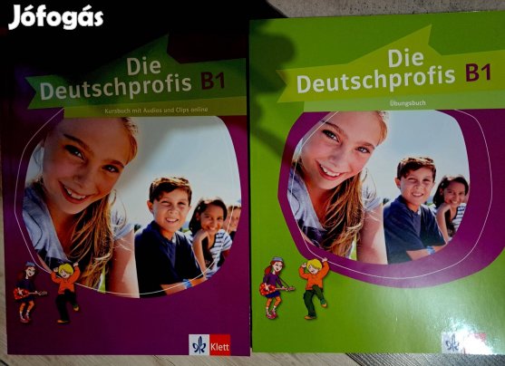 Die Deutschprofis B1